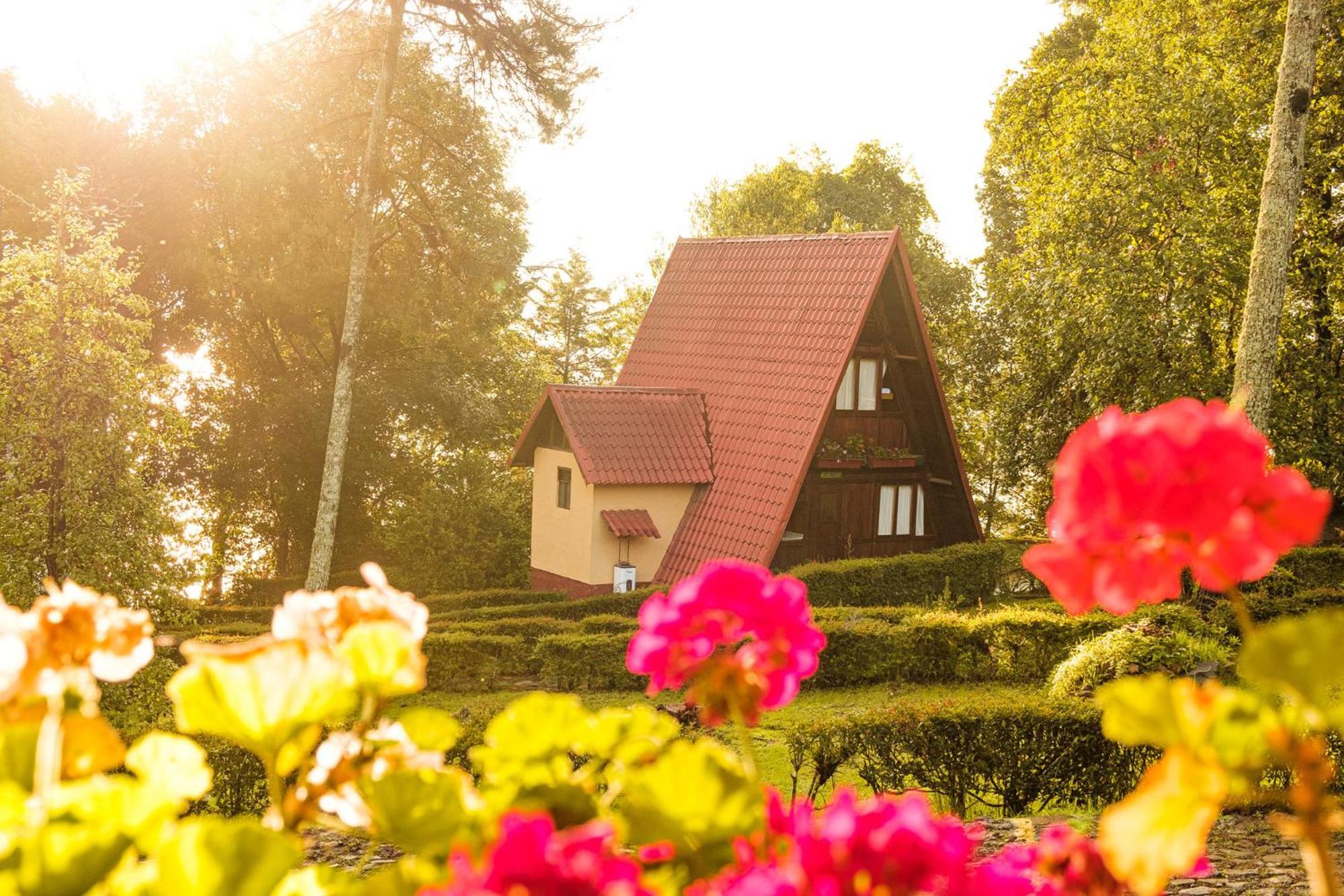 Zirahuen Forest And Resort Exteriör bild